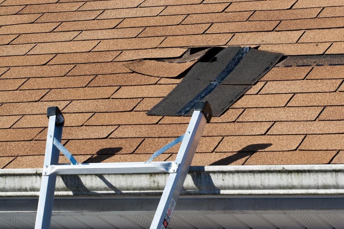 Damaged shingles near a ladder